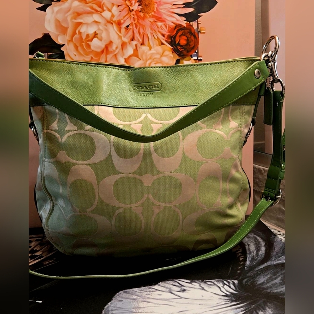Coach Zoe Hobo Bag